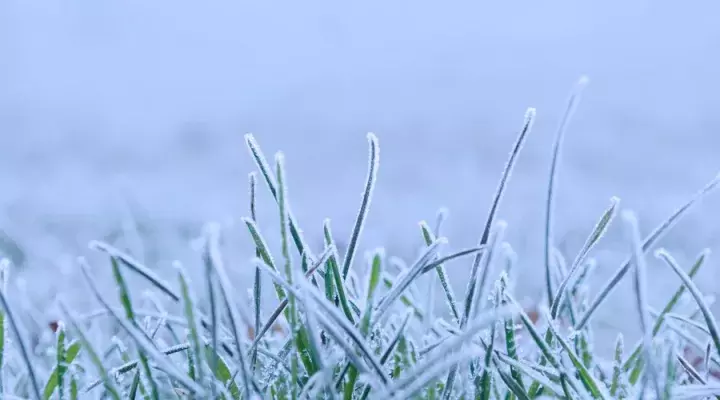 描写雪的唯美诗词名句（晚来天欲雪，能饮一杯无）