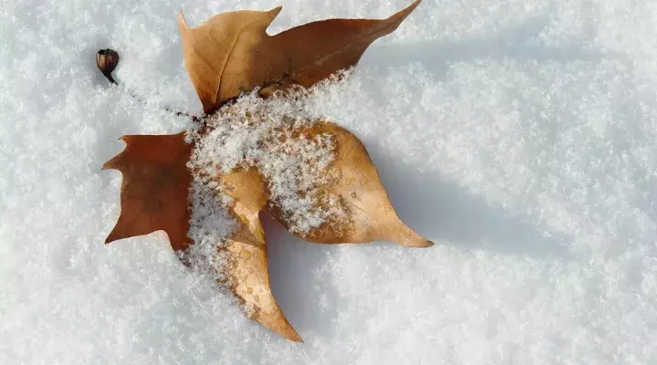 描写雪的唯美诗词名句（晚来天欲雪，能饮一杯无）