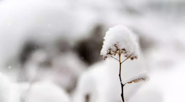 描写雪的唯美诗词名句（晚来天欲雪，能饮一杯无）