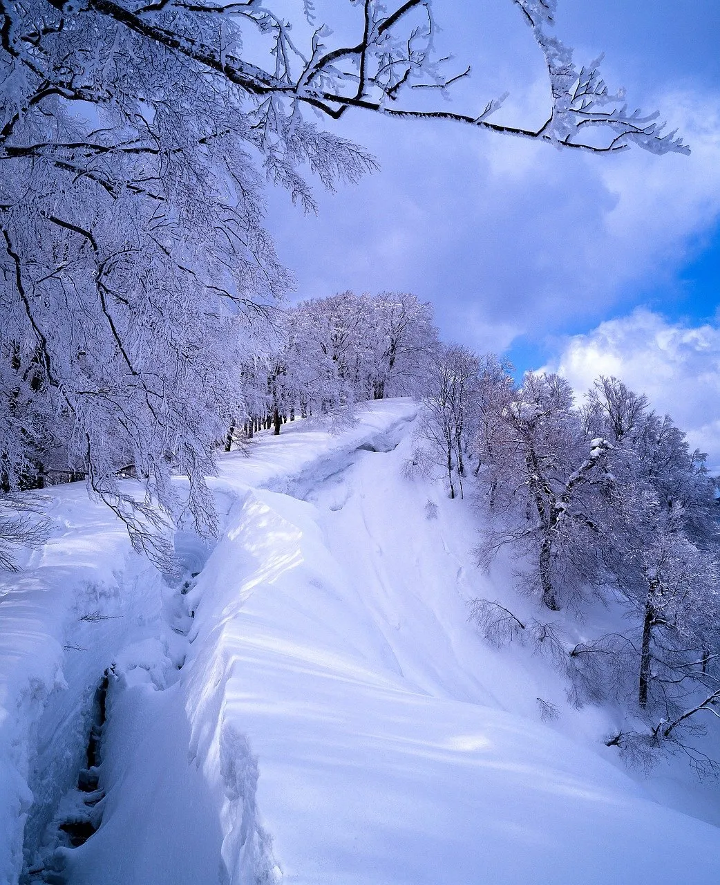 描写雪的诗词名句（太经典了）