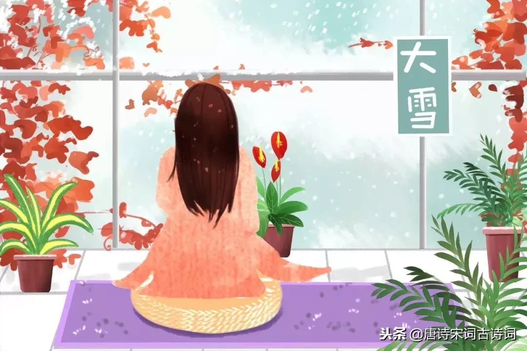 关于描写大雪的诗词名古诗佳句（体会诗人的所思所想）