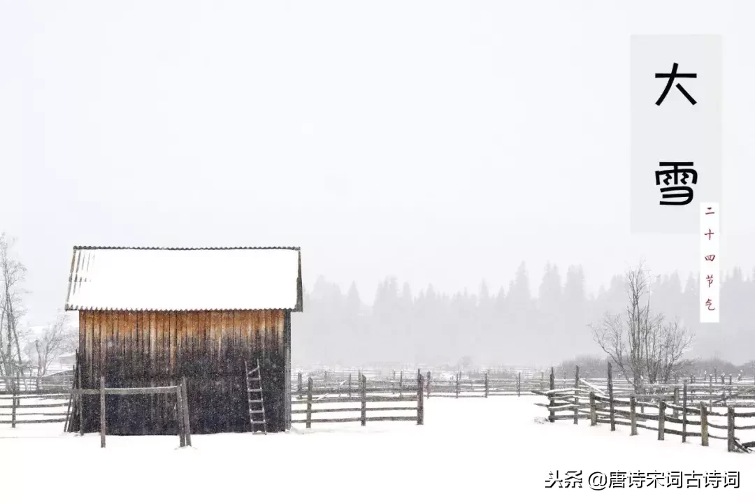 关于描写大雪的诗词名古诗佳句（体会诗人的所思所想）