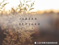 关于陪伴与懂得的唯美短句子（懂得，是心间最暖的陪伴）