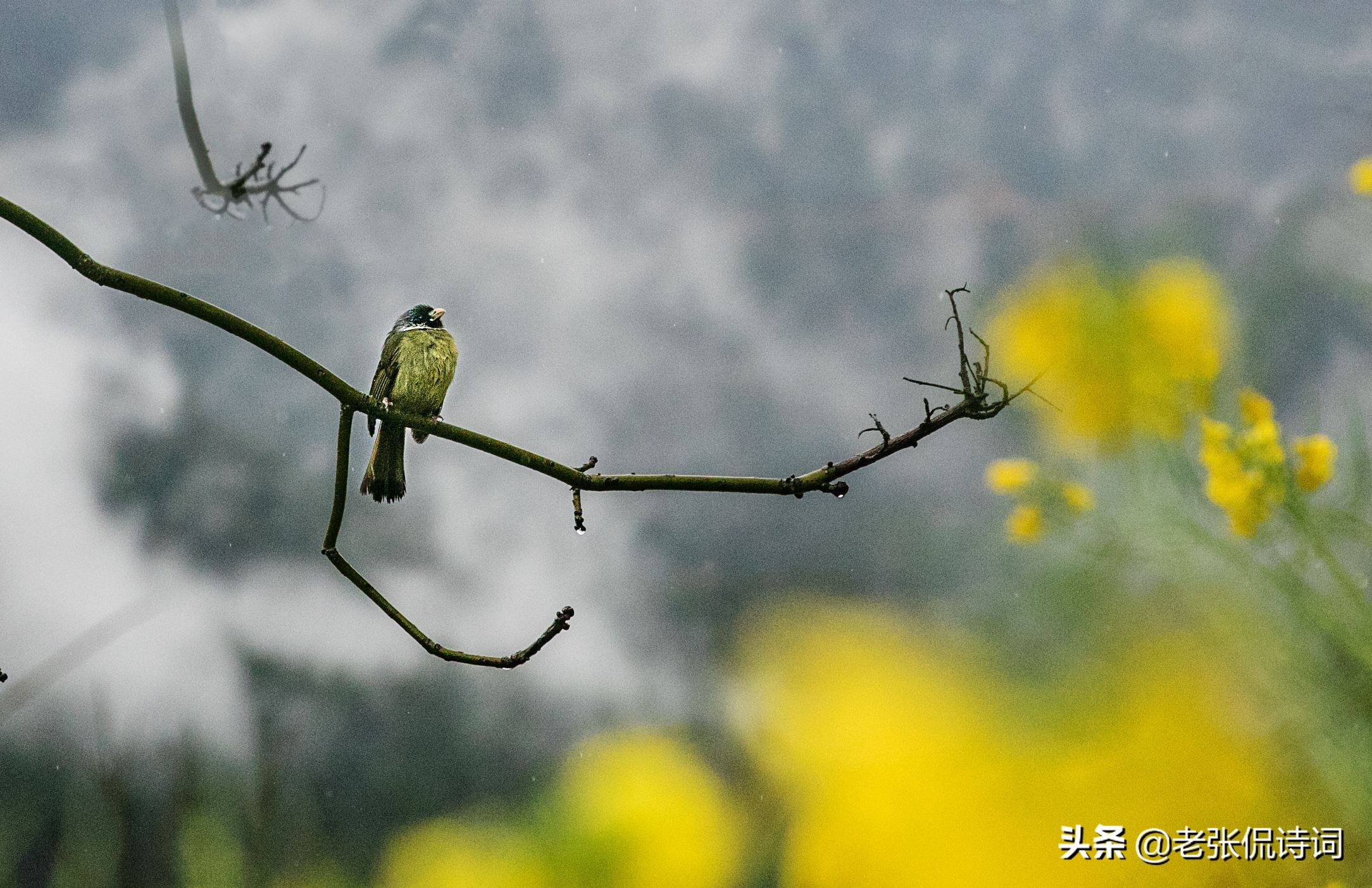 关于经典唐诗宋词赏析（富有生命力的宋词推荐）