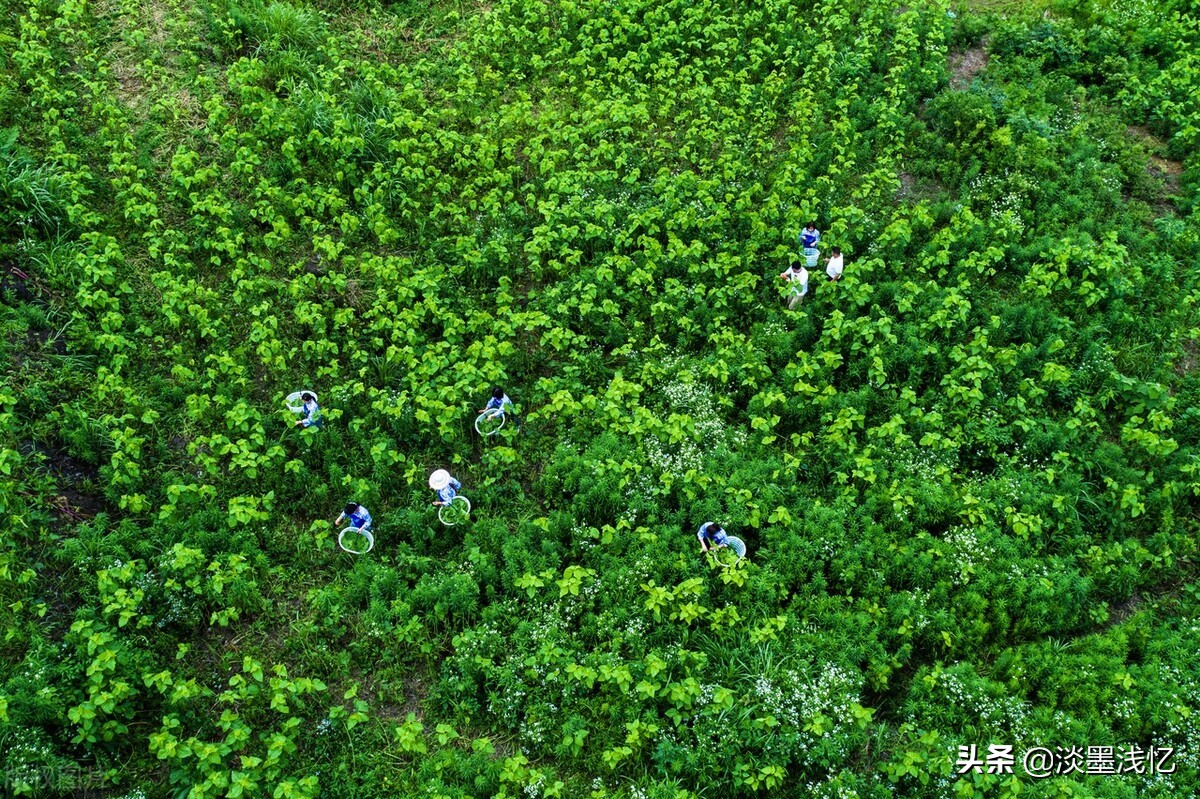 关于赞美勤劳人民的古典诗词（劳动者好美）