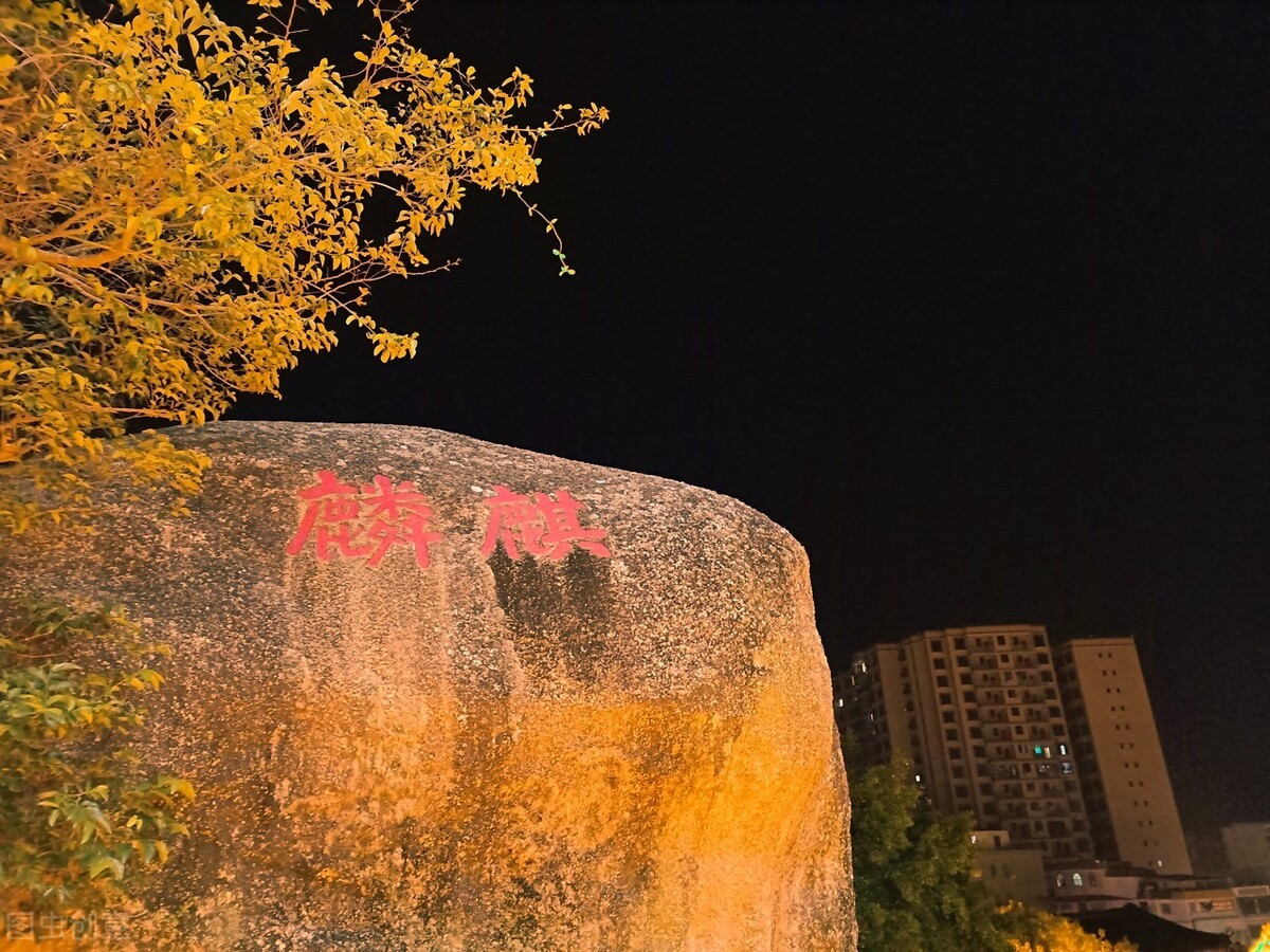 重阳节的古诗词赏析，重阳节经典温馨诗句摘抄