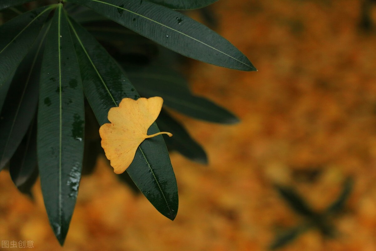 唐代薛昭蕴的词作（关于清明节的古诗词）