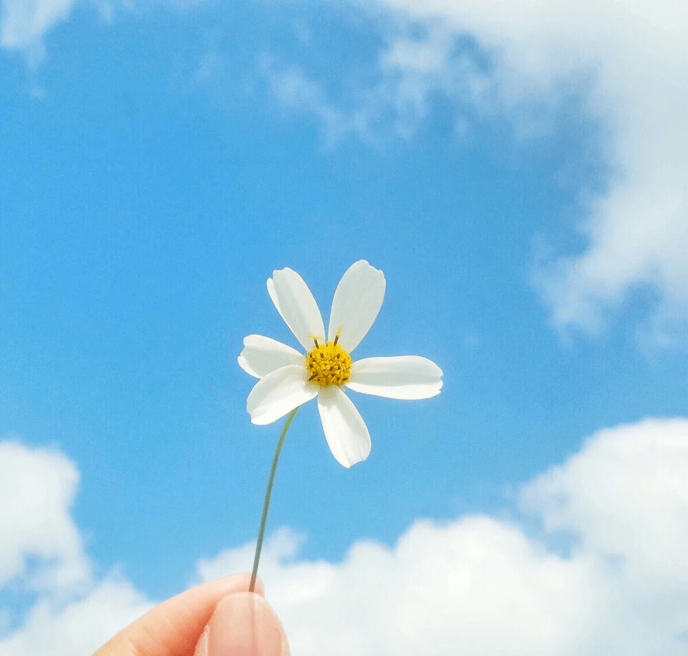 不卑不亢，全力以赴（凌晨温暖治愈的暖心短句）