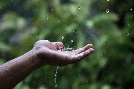 关于雨的作文800字高中（雨，如此绚烂）