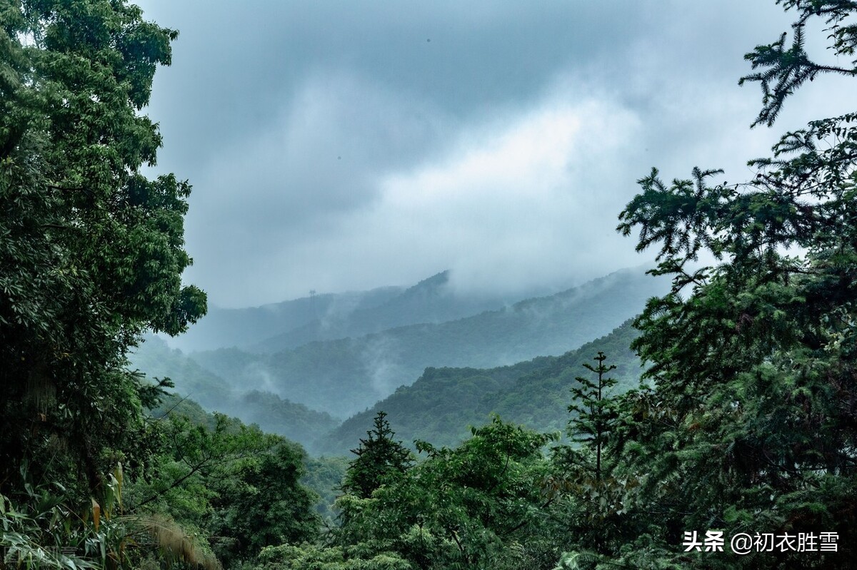 赞美初夏雨水的八首美诗（蓬勃清新的夏雨）