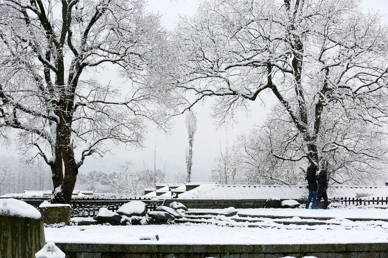 关于著名的咏雪诗词（冬景似春华，莫负好时光）