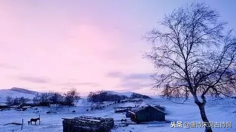 赞美冬天雪景的诗句（关于咏雪的古诗词）