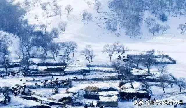 赞美冬天雪景的诗句（关于咏雪的古诗词）