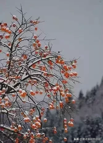 赞美冬天雪景的诗句（关于咏雪的古诗词）