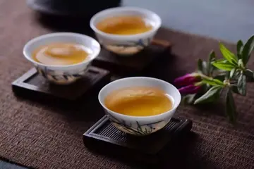 茶如人生作文800字范文（茶如人生，句短味长）