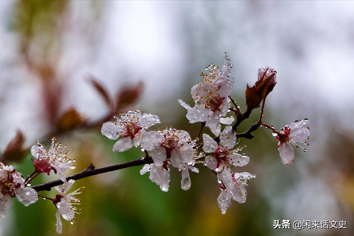 关于杨万里的经典诗词（无以伦比的自然风光）