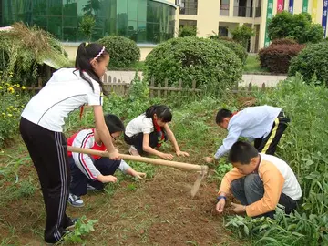 2022学校学生综合素质评价方案模板（校园学生综合素质评价策划方案范本）