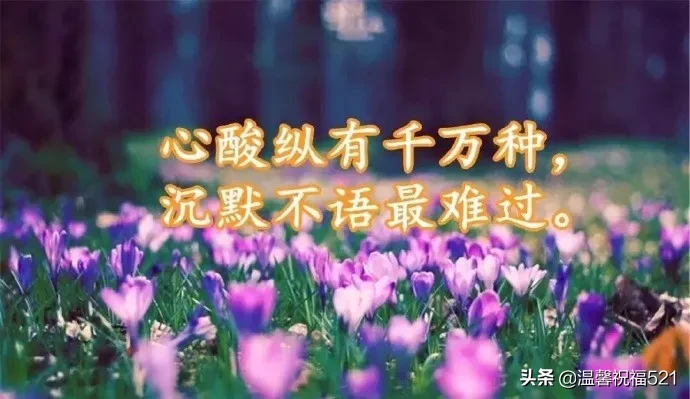 分享正能量励志短句子（关于经典励志的简短句子）