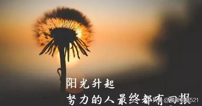 分享正能量励志短句子（关于经典励志的简短句子）