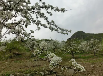 热爱生命作文800字范文（生命的意义在于热爱）