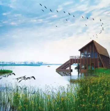 2022世界湿地日活动主题方案及目的（湿地日湿地保护宣传活动总结及意义）
