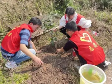 2022保持生态平衡全国植树节主题活动方案模板（护绿行动全国植树节活动方案范例）