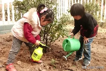 2022保持生态平衡全国植树节主题活动方案模板（护绿行动全国植树节活动方案范例）