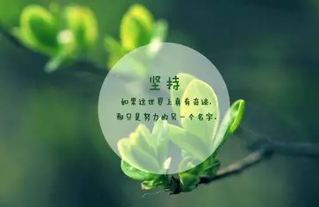 人生贵在坚持演讲稿800字（人生贵在坚持的感悟作文素材）