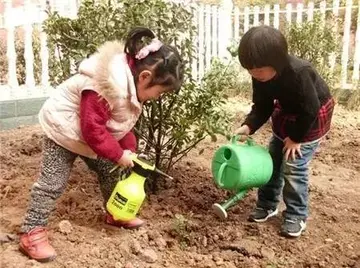 2022奉献绿色校园植树节活动主题及方案（学校植树节主题活动方案范例）