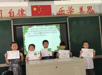 2022小学六·五世界环境日活动方案模板（小学世界环境日主题活动策划方案范本）