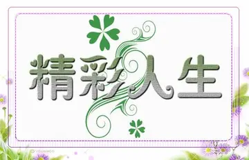 精彩人生演讲稿800字（精彩人生积极向上正能量演讲稿）