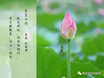 2022夏至日的问候祝福语简短（美好寓意的夏至祝福寄语）