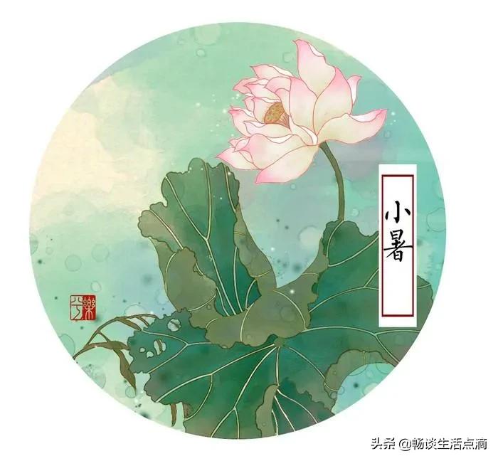 关于夏至节气谚语大全（老祖宗们留下来的谚语）