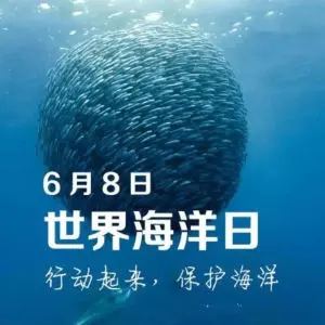 2022学校6.8世界海洋日活动方案模板（校园68世界海洋日主题策划方案范本）