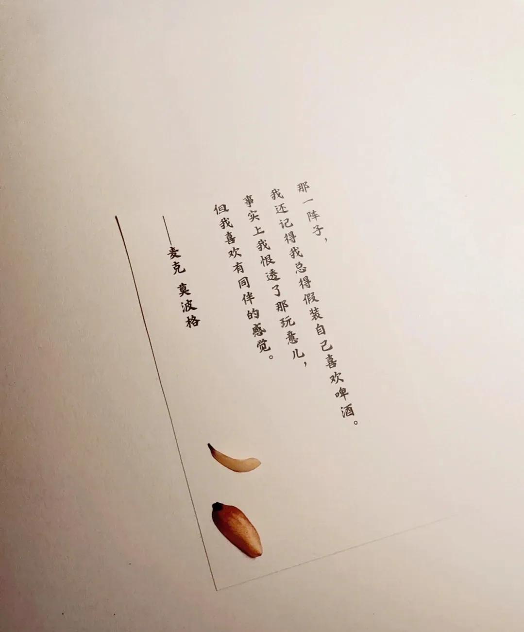 关于简短正能量励志语录（平平淡淡才是福）