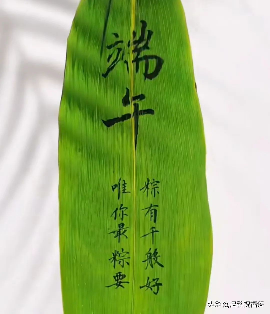 关于端午节精选祝福赏析（端午粽飘香，龙舟响当当）