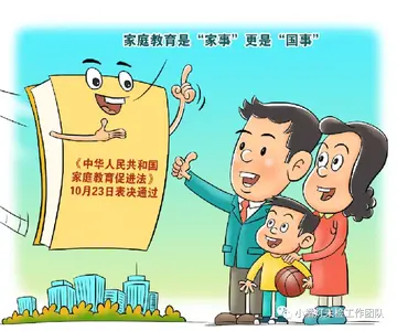 2022家庭教育促进法心得体会及意义（家庭教育促进法感悟心得）