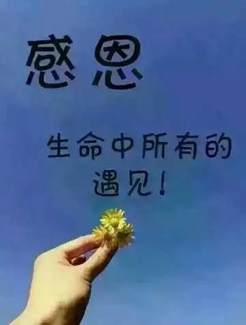 以感恩为话题的作文（分享10篇感恩的优秀作文）