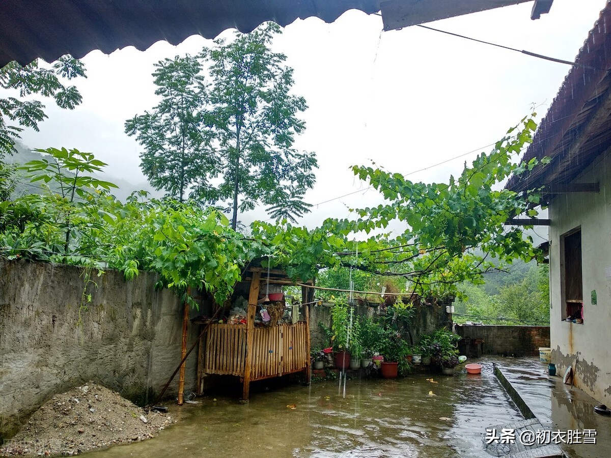 关于早夏烟雨诗词七首（无拘无束的田园生活）