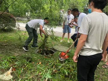 2022学校突发台风暴雨天应急预案范文（突发性台风暴雨气象灾害应急方案范本）