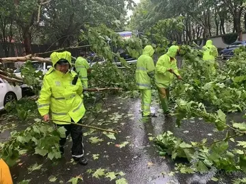 2022上课期间突发台风应急预案模板（在校期间台风气象应急处理方案范本）