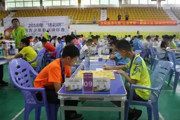 2022学校象棋王锦标赛活动方案模板（领略国粹学生象棋大赛策划方案范本）