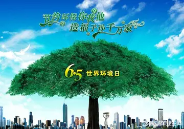 2022六·五世界环境日校内活动总结范文（践行绿色6.5国际环境日工作总结范例）