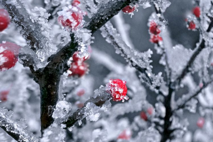 关于冬至的祝福诗词（愿你温暖又幸福的祝福语）