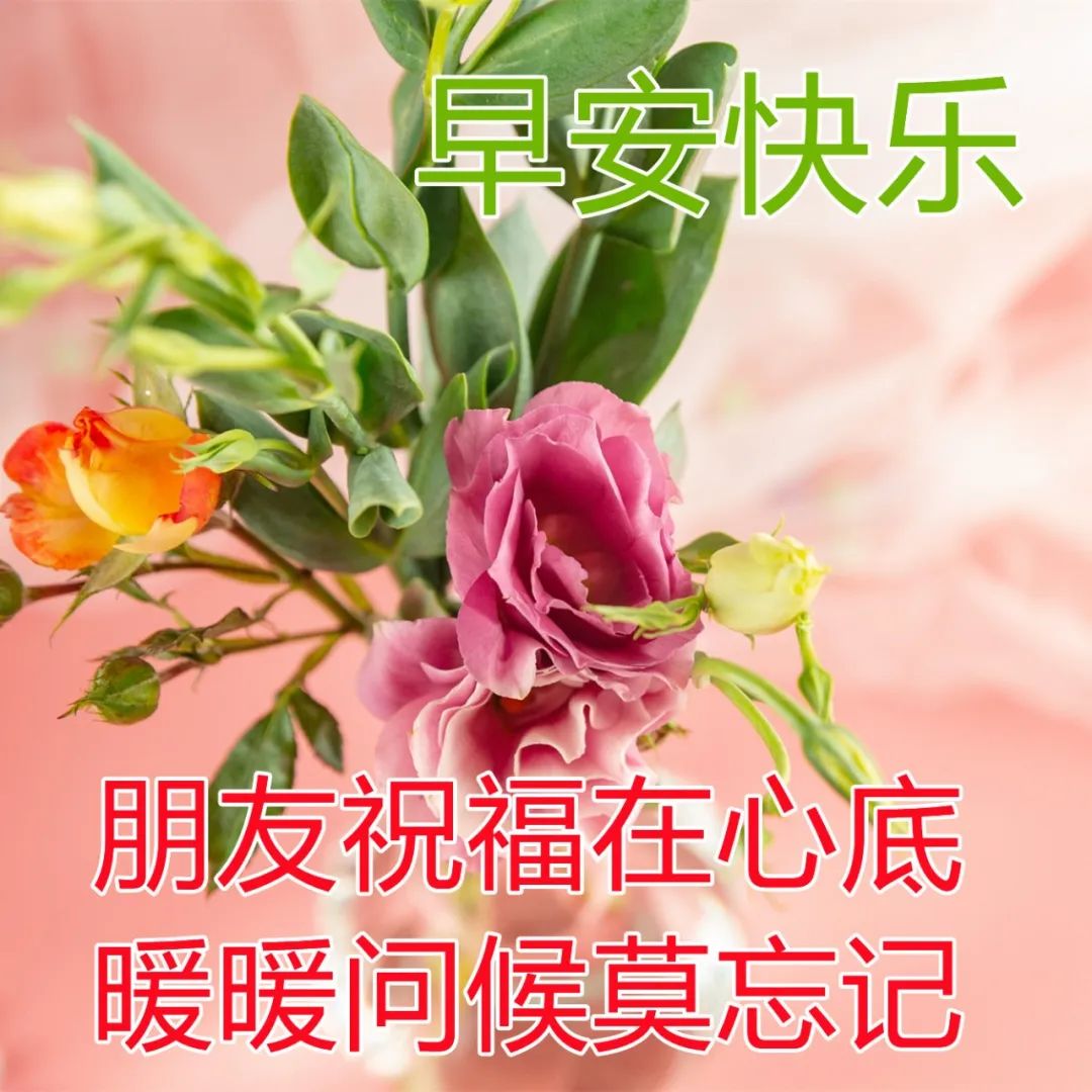 关于早安的励志祝福语(宁可辛苦，也不要贪图享乐）