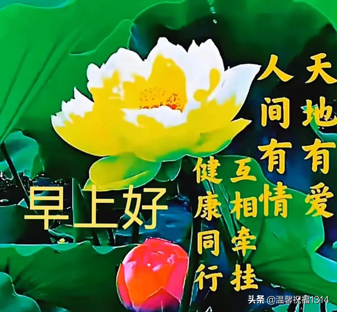 疫情下暖心短句温暖的句子（早安抗疫美好祝福语）