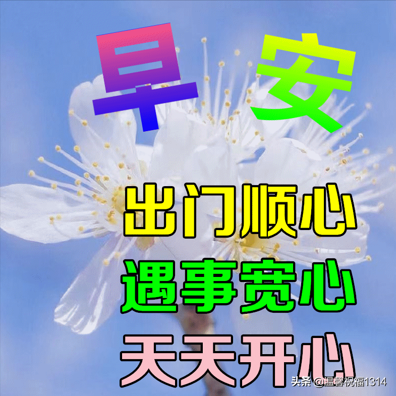 早安问候祝福语大全（祝早安快乐每一天）