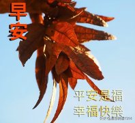 关于早安祝福问候语大全（平安健康，吉祥快乐）