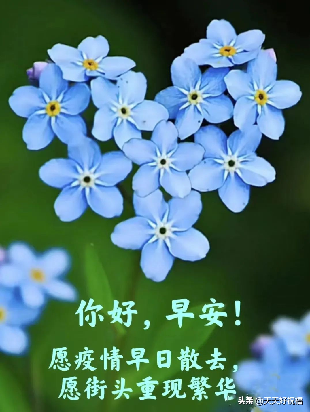 表达抗疫期间的美好祝福（防疫不松懈,迎来人间百花开）