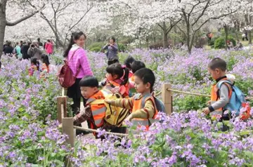 2022小学生春游活动的目的及意义（小学生春游活动方案及总结）